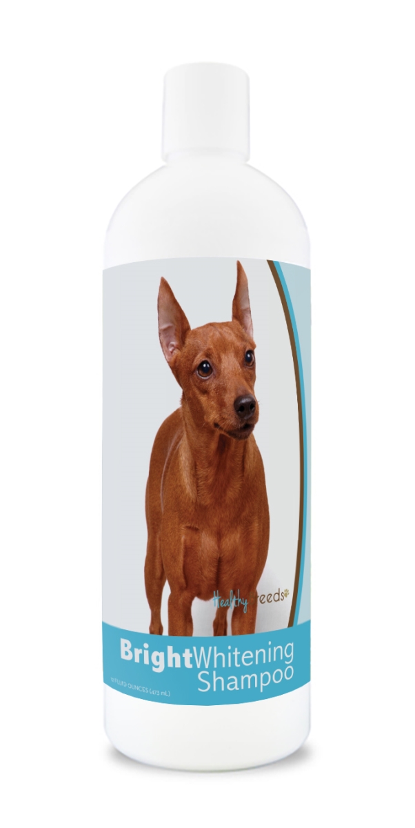 Picture of Healthy Breeds 840235182498 12 oz Miniature Pinscher Bright Whitening Shampoo