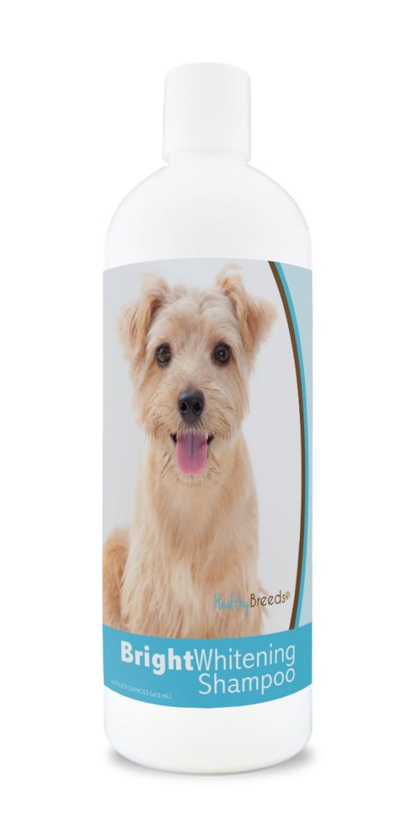 Picture of Healthy Breeds 840235174189 12 oz Norfolk Terrier Bright Whitening Shampoo