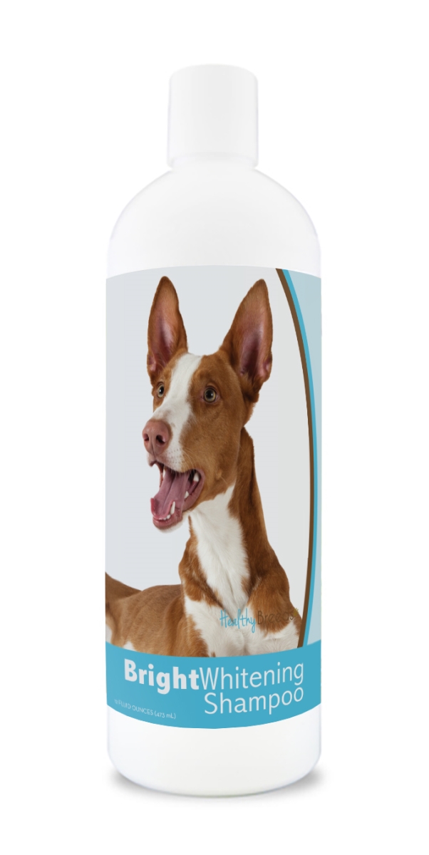 Picture of Healthy Breeds 840235174417 12 oz Ibizan Hound Bright Whitening Shampoo