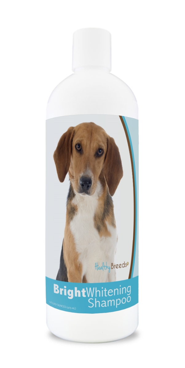Picture of Healthy Breeds 840235174707 12 oz Harrier Bright Whitening Shampoo