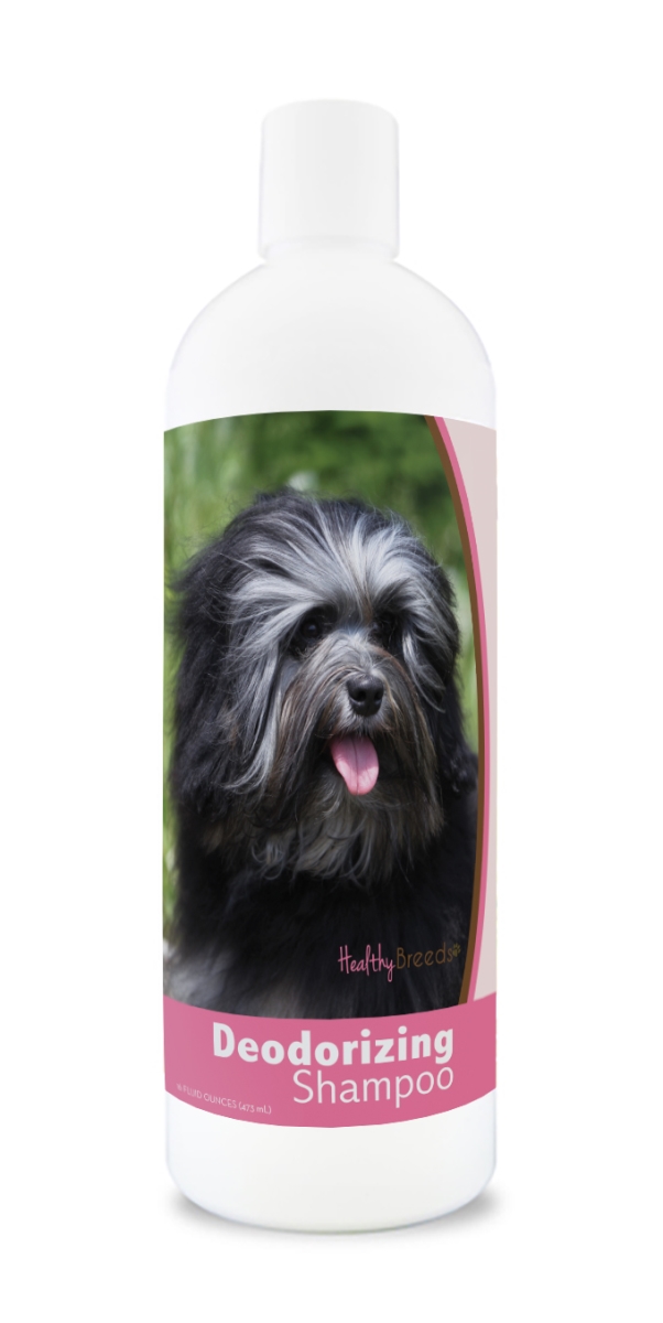 840235174813 16 oz Lowchen Deodorizing Shampoo