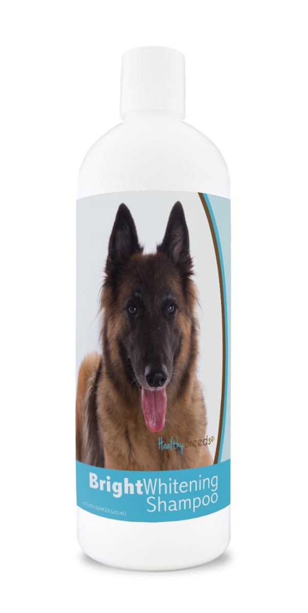 Picture of Healthy Breeds 840235175612 12 oz Belgian Tervuren Bright Whitening Shampoo