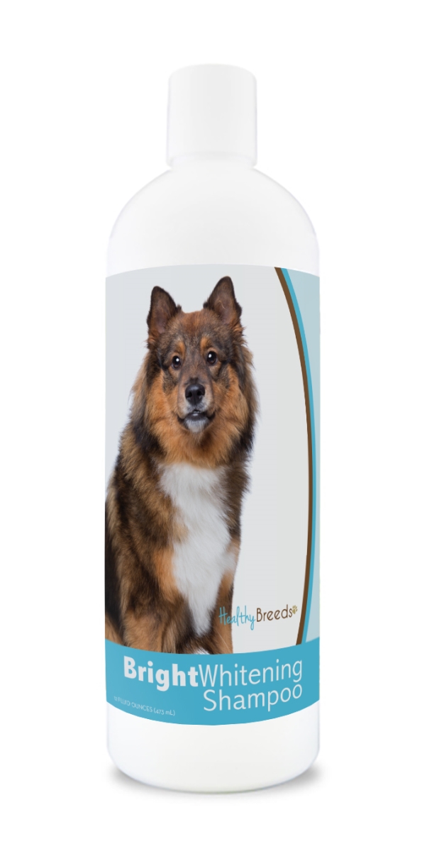 Picture of Healthy Breeds 840235176053 12 oz Eurasier Bright Whitening Shampoo