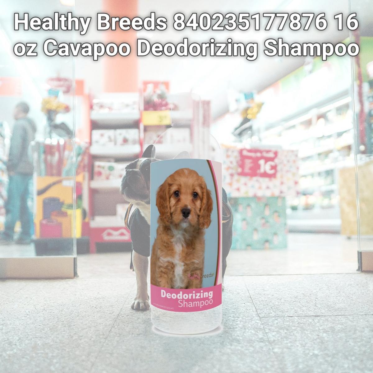 Picture of Healthy Breeds 840235177876 16 oz Cavapoo Deodorizing Shampoo