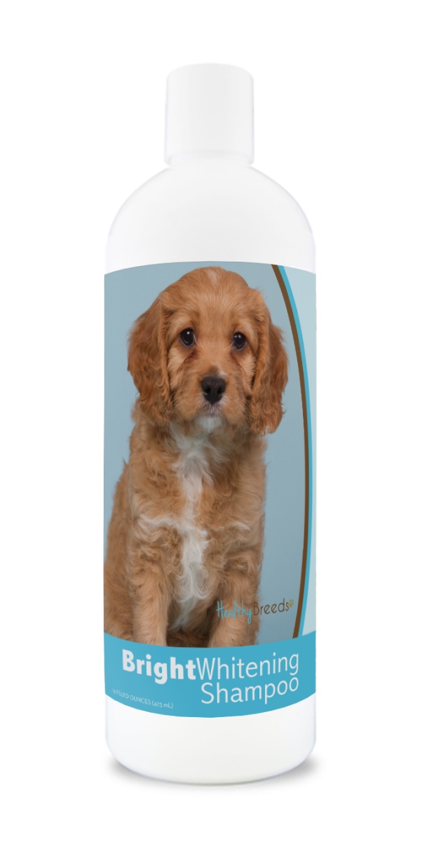 Picture of Healthy Breeds 840235177944 12 oz Cavapoo Bright Whitening Shampoo