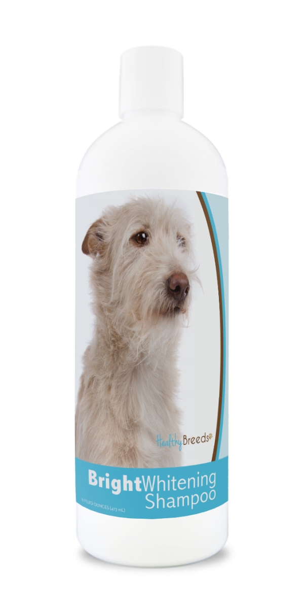 Picture of Healthy Breeds 840235178200 12 oz Portuguese Podengo Pequeno Bright Whitening Shampoo