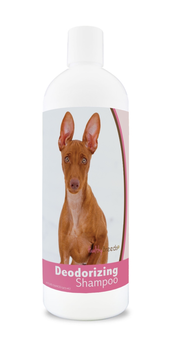 16 oz Cirneco Dell Etna Deodorizing Shampoo