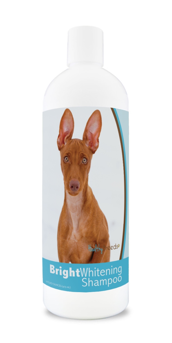 Picture of Healthy Breeds 840235178347 12 oz Cirneco Dell Etna Bright Whitening Shampoo