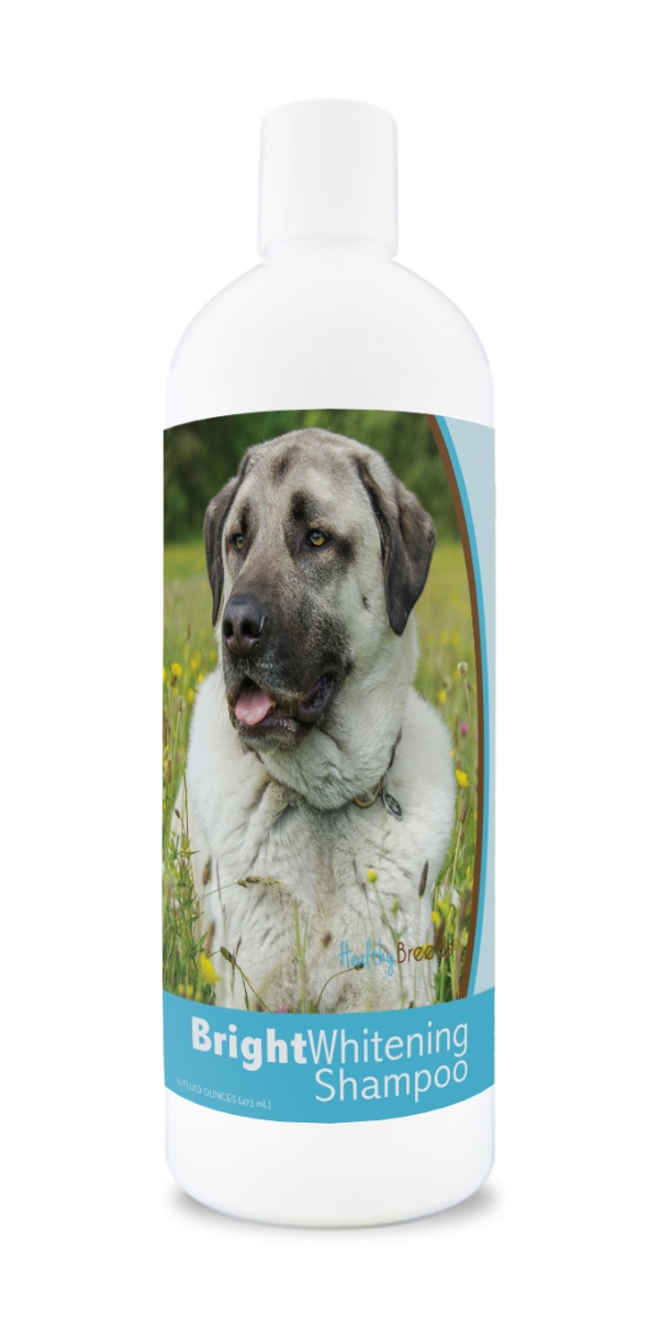 Picture of Healthy Breeds 840235178507 12 oz Anatolian Shepherd Dog Bright Whitening Shampoo