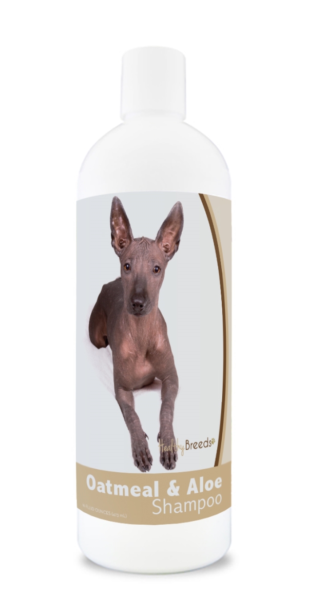 Picture of Healthy Breeds 840235178736 16 oz Xoloitzcuintli Oatmeal Shampoo with Aloe