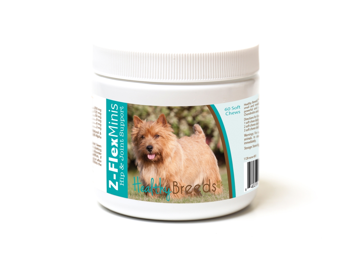 Picture of Healthy Breeds 840235111849 Norwich Terrier Z-Flex Minis Hip & Joint Support Soft Chews