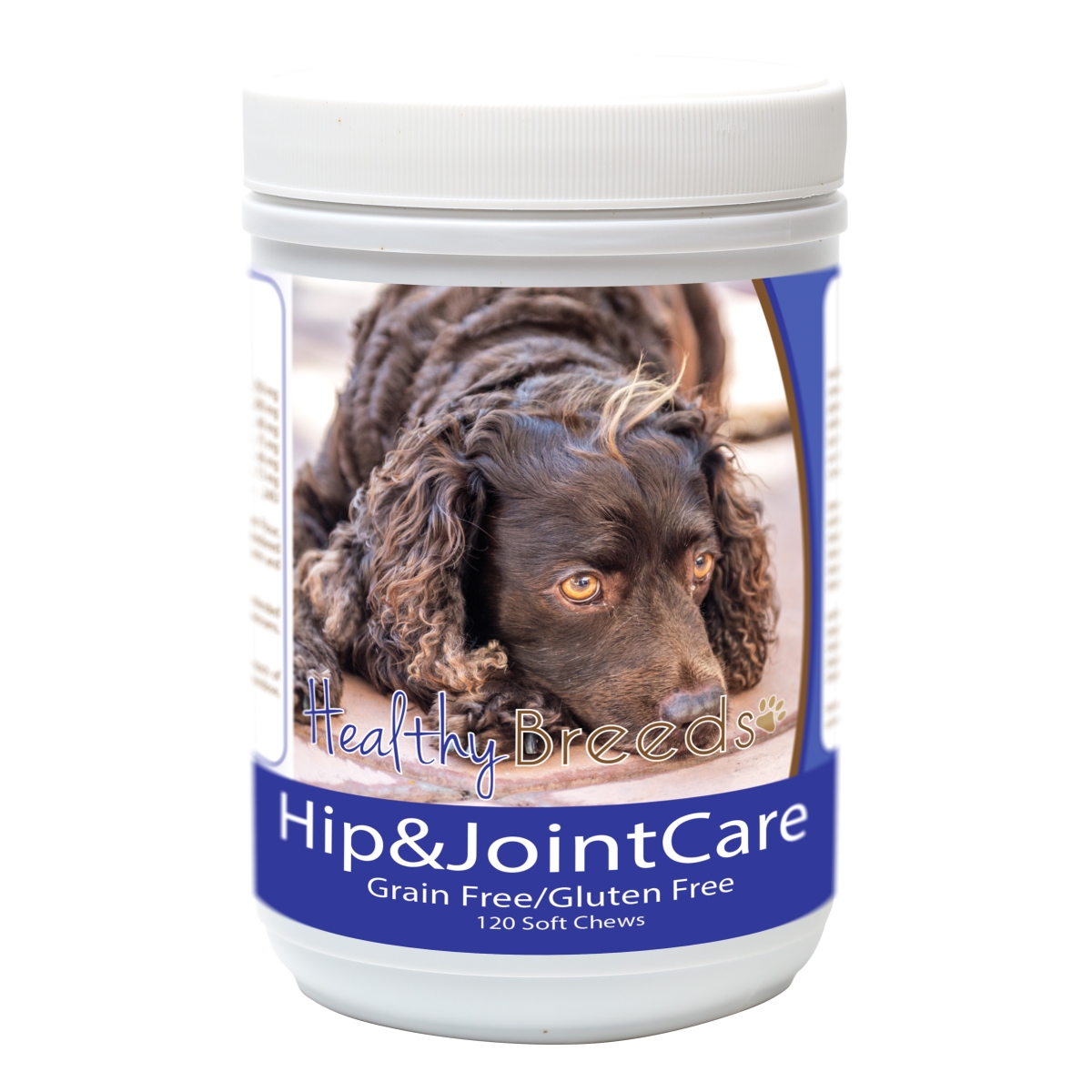 Picture of Healthy Breeds 840235183204 American Water Spaniel Hip & Joint Care&#44; 120 Count