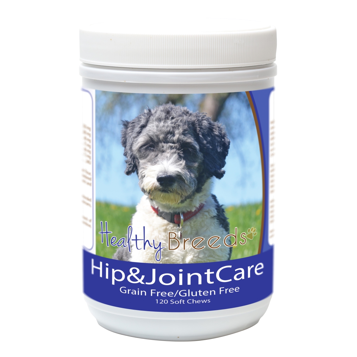Picture of Healthy Breeds 840235183341 Aussiedoodle Hip & Joint Care&#44; 120 Count
