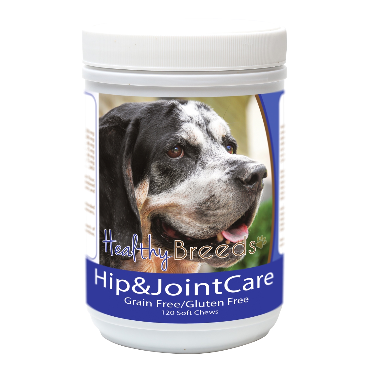 Picture of Healthy Breeds 840235183440 Bluetick Coonhound Hip & Joint Care&#44; 120 Count