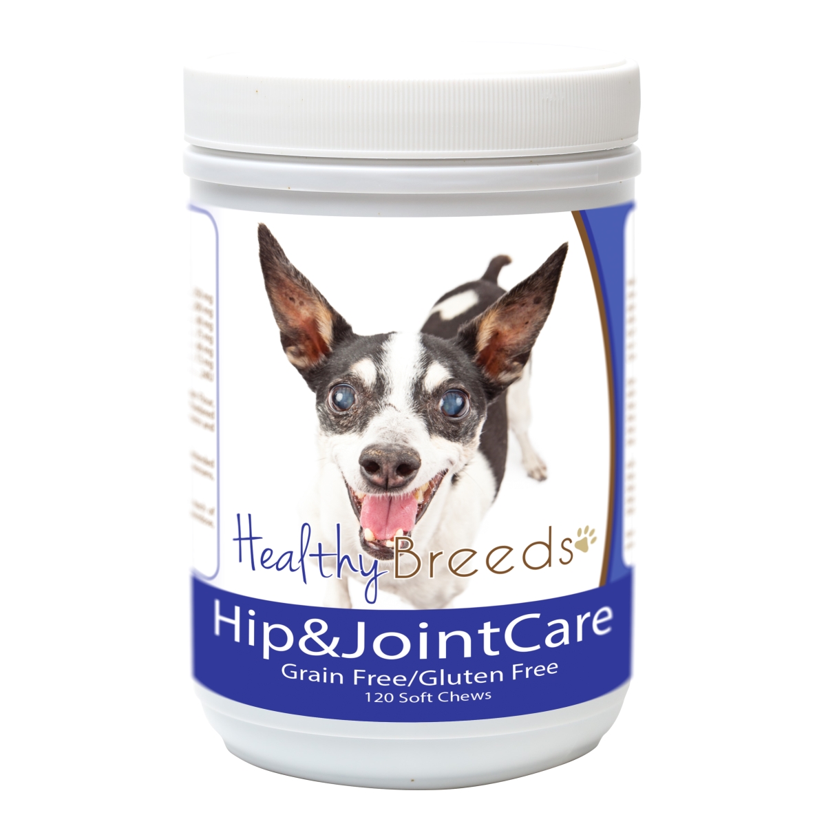 Picture of Healthy Breeds 840235183648 Rat Terrier Hip & Joint Care&#44; 120 Count