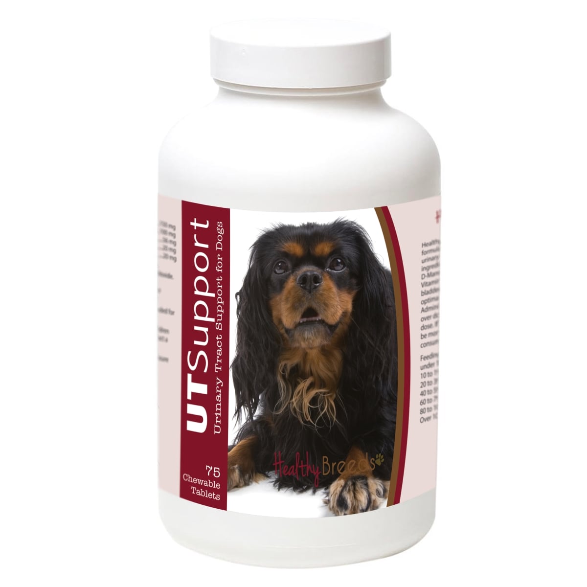 840235185802 English Springer Spaniel Cranberry Chewables, 75 Count