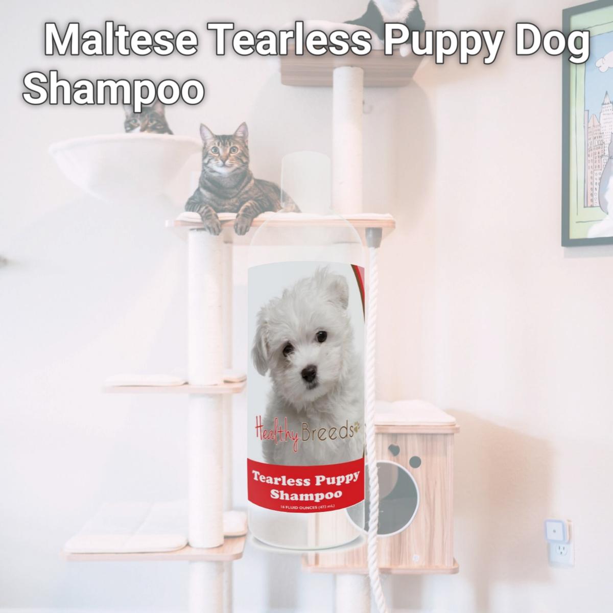 Picture of Healthy Breeds 840235185956 Maltese Tearless Puppy Dog Shampoo