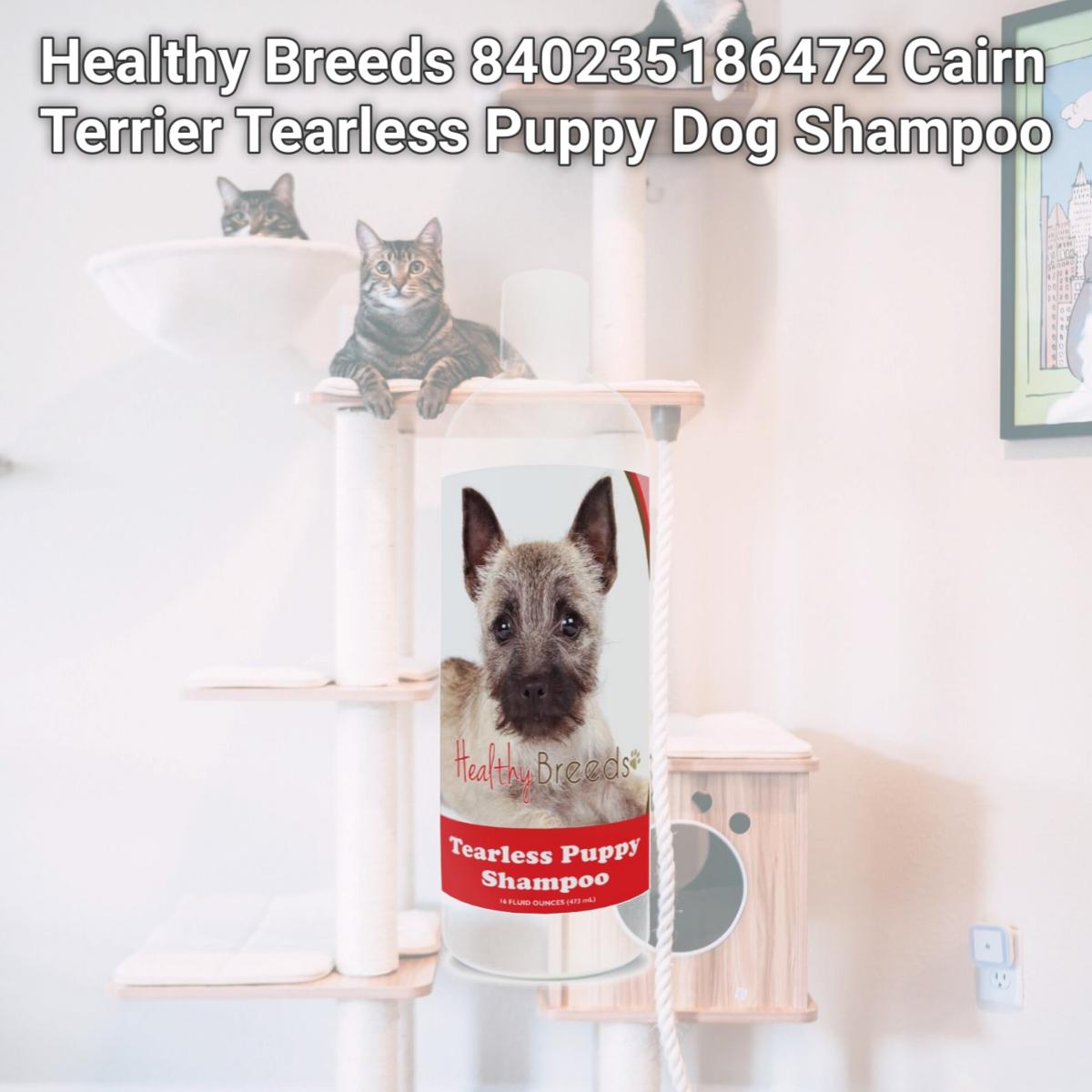 Picture of Healthy Breeds 840235186472 Cairn Terrier Tearless Puppy Dog Shampoo