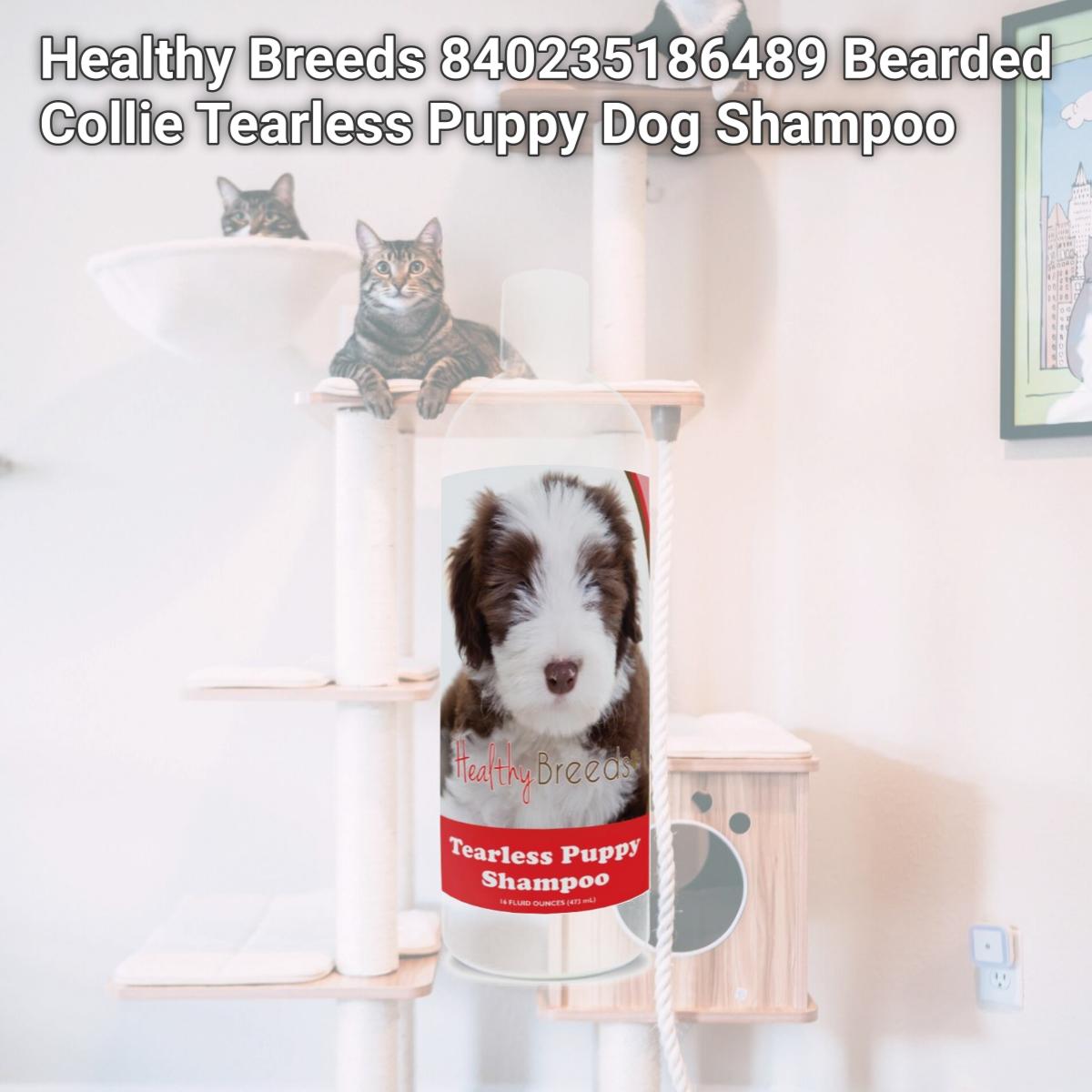 Picture of Healthy Breeds 840235186489 Bearded Collie Tearless Puppy Dog Shampoo
