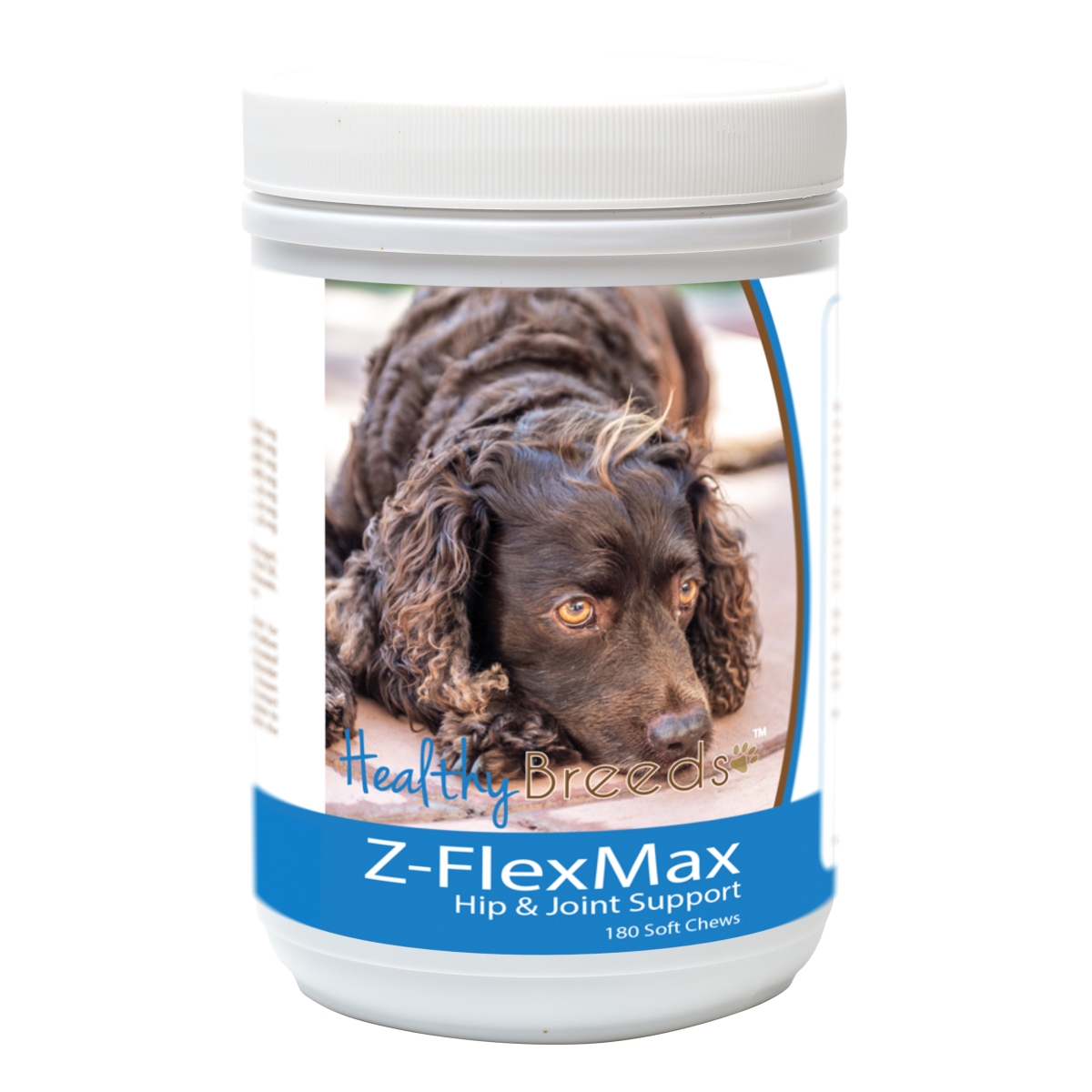 Picture of Healthy Breeds 840235188384 American Water Spaniel Z-Flex Max Dog Hip & Joint Support