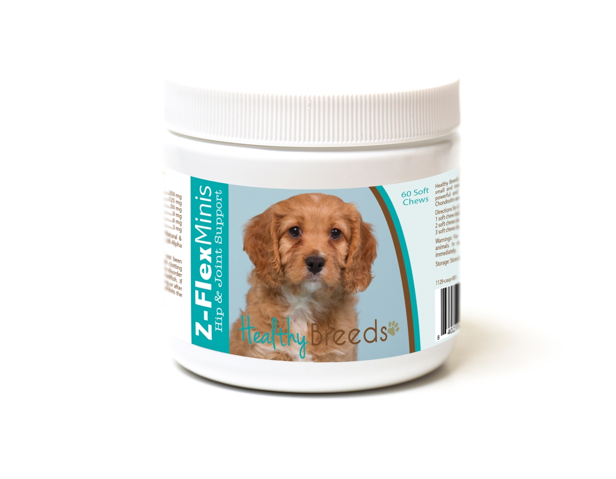 Picture of Healthy Breeds 840235190004 Cavapoo Z-Flex Minis Hip & Joint Support Soft Chews