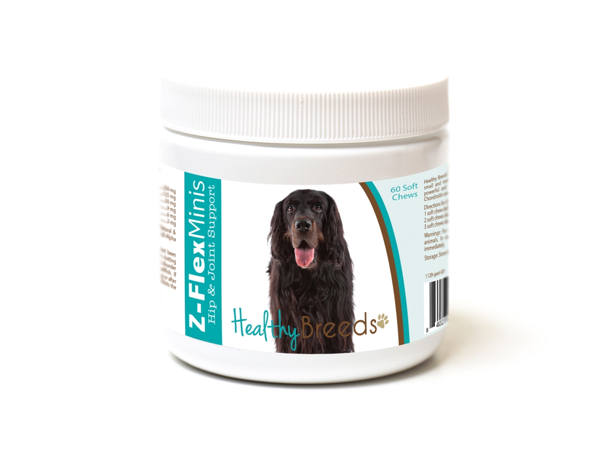 Picture of Healthy Breeds 840235190011 Gordon Setter Z-Flex Minis Hip & Joint Support Soft Chews
