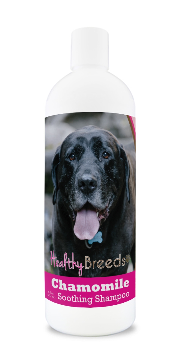 Picture of Healthy Breeds 192959000139 8 oz Mastador Chamomile Soothing Dog Shampoo