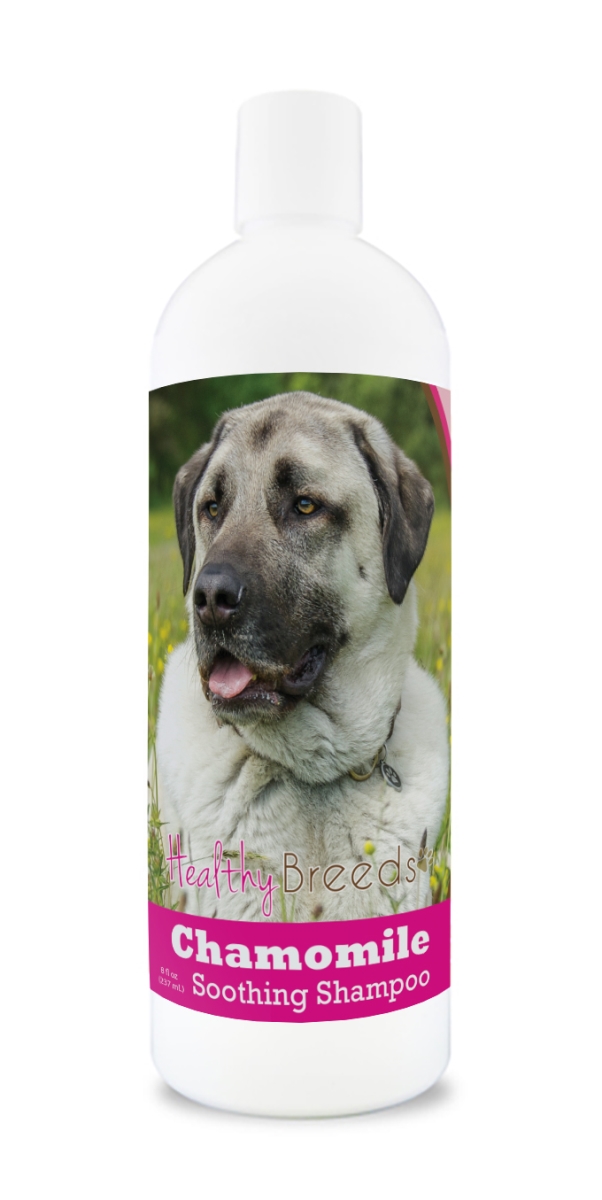 Picture of Healthy Breeds 192959000337 8 oz Anatolian Shepherd Dog Chamomile Soothing Dog Shampoo