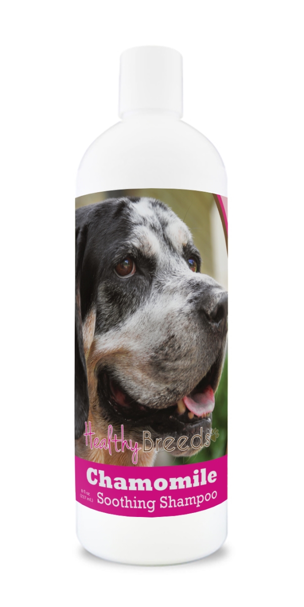 Picture of Healthy Breeds 192959000368 8 oz Bluetick Coonhound Chamomile Soothing Dog Shampoo