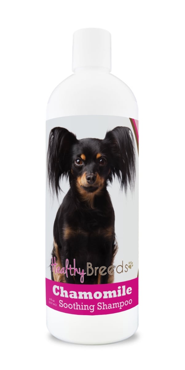 Picture of Healthy Breeds 192959000429 8 oz Russian Toy Terrier Chamomile Soothing Dog Shampoo