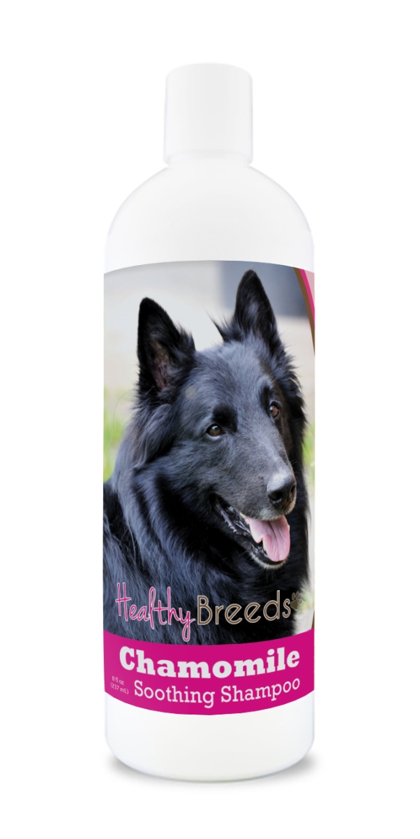 Picture of Healthy Breeds 192959000443 8 oz Belgian Sheepdog Chamomile Soothing Dog Shampoo