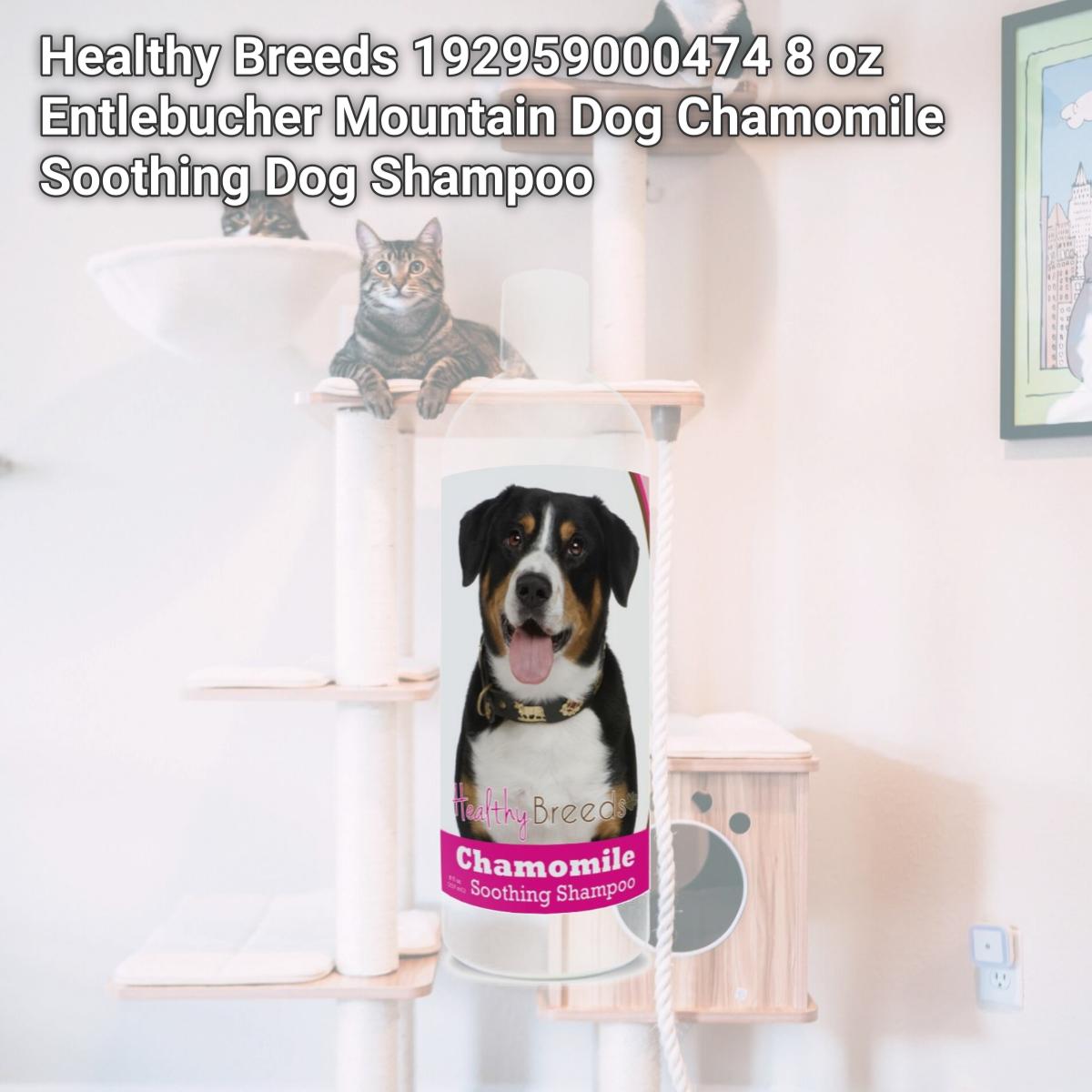 Picture of Healthy Breeds 192959000474 8 oz Entlebucher Mountain Dog Chamomile Soothing Dog Shampoo