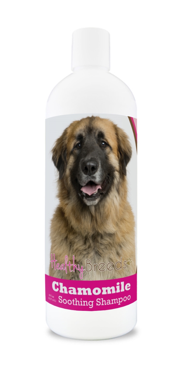 Picture of Healthy Breeds 192959000481 8 oz Leonberger Chamomile Soothing Dog Shampoo