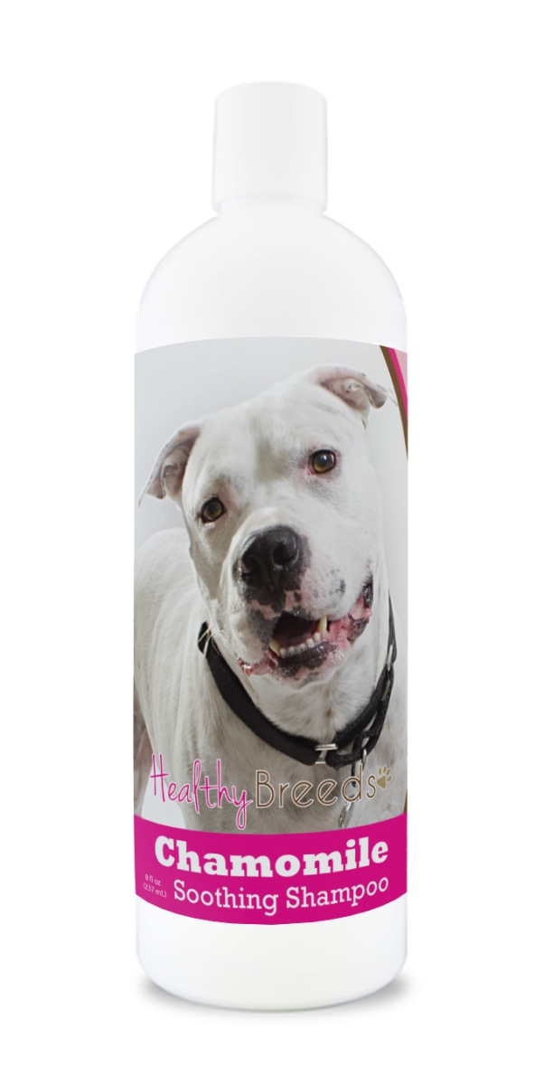 Picture of Healthy Breeds 192959000504 8 oz Pit Bull Chamomile Soothing Dog Shampoo