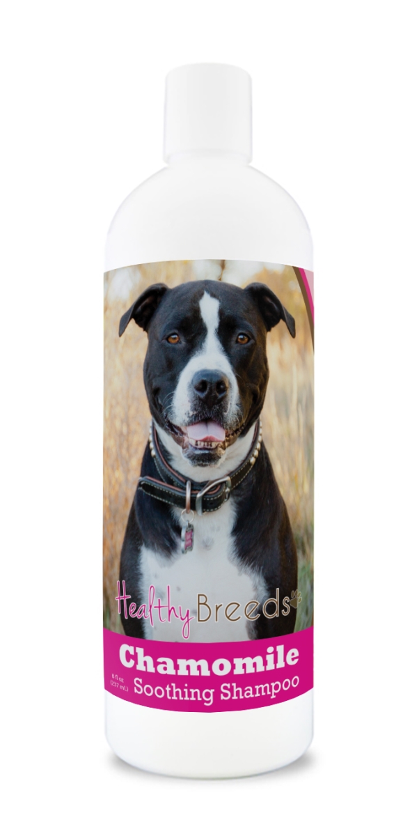 Picture of Healthy Breeds 192959000511 8 oz Pit Bull Chamomile Soothing Dog Shampoo