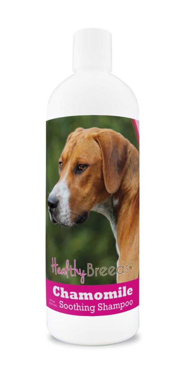 Picture of Healthy Breeds 192959000528 8 oz English Foxhound Chamomile Soothing Dog Shampoo