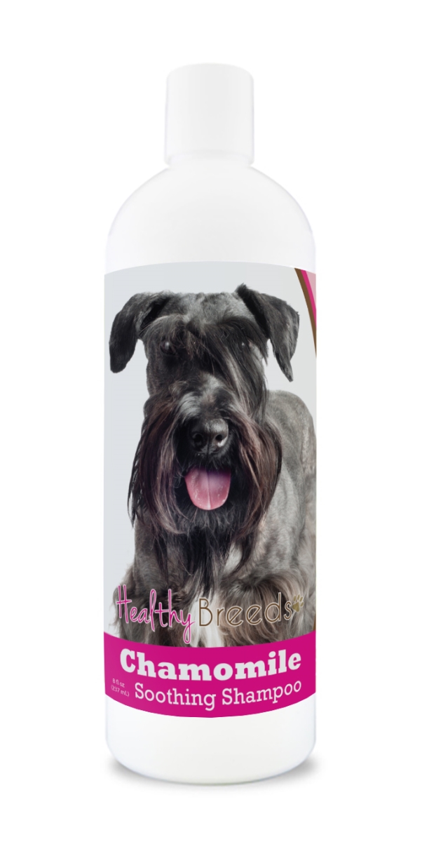 Picture of Healthy Breeds 192959000559 8 oz Cesky Terrier Chamomile Soothing Dog Shampoo