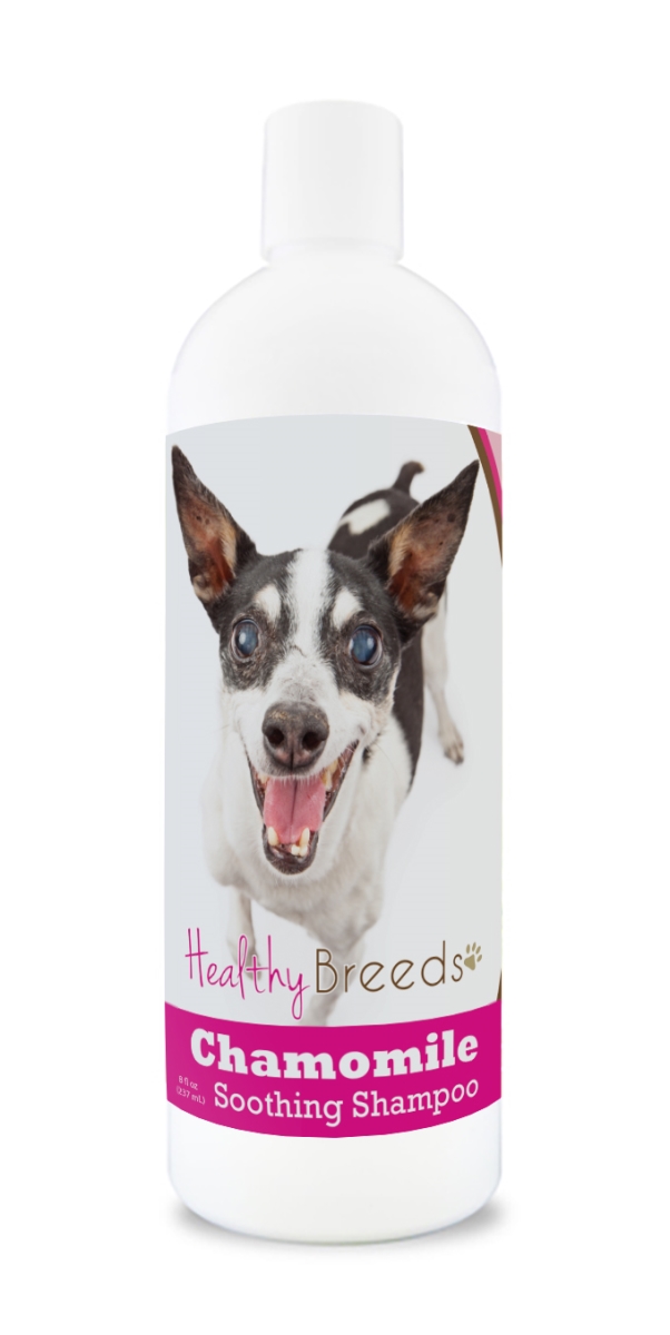Picture of Healthy Breeds 192959000573 8 oz Rat Terrier Chamomile Soothing Dog Shampoo