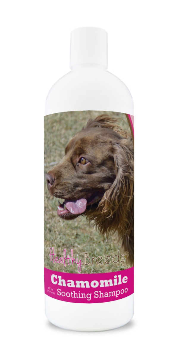 Picture of Healthy Breeds 192959000597 8 oz Sussex Spaniel Chamomile Soothing Dog Shampoo