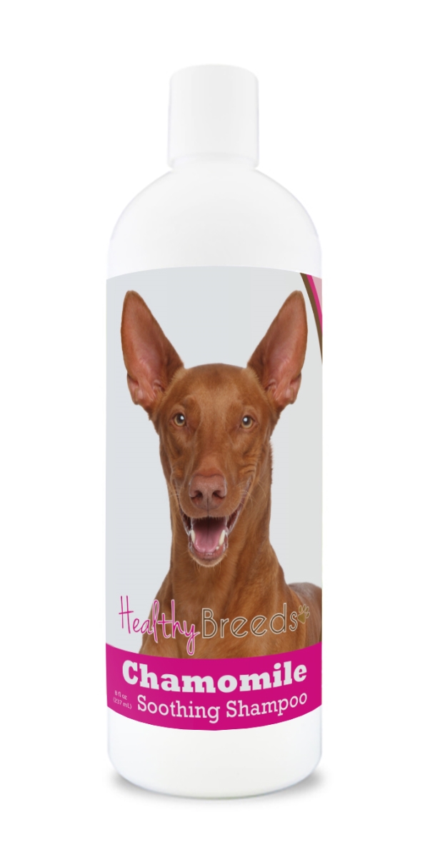 Picture of Healthy Breeds 192959000610 8 oz Pharaoh Hound Chamomile Soothing Dog Shampoo