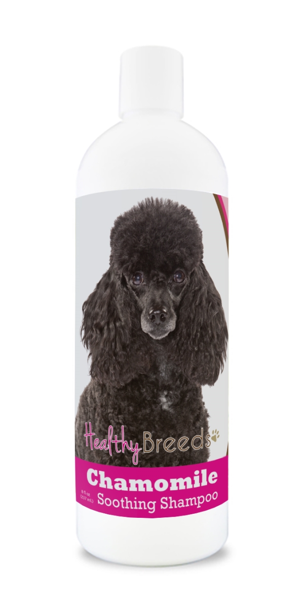 Picture of Healthy Breeds 192959000658 8 oz Poodle Chamomile Soothing Dog Shampoo