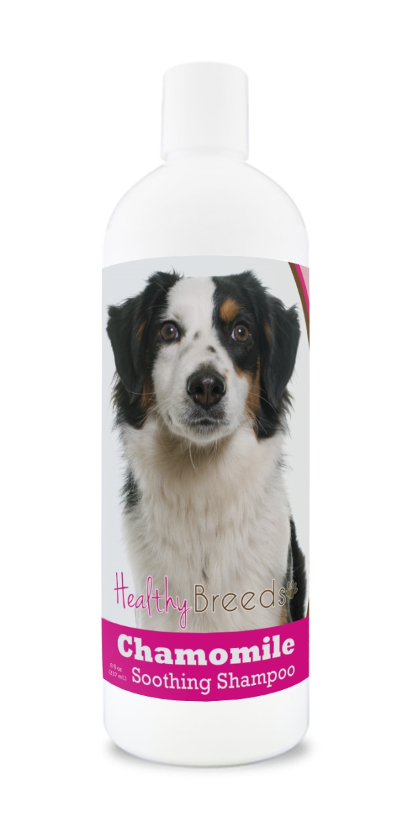 Picture of Healthy Breeds 192959000689 8 oz Miniature American Shepherd Chamomile Soothing Dog Shampoo