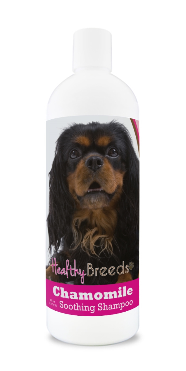 Picture of Healthy Breeds 192959000696 8 oz English Toy Spaniel Chamomile Soothing Dog Shampoo