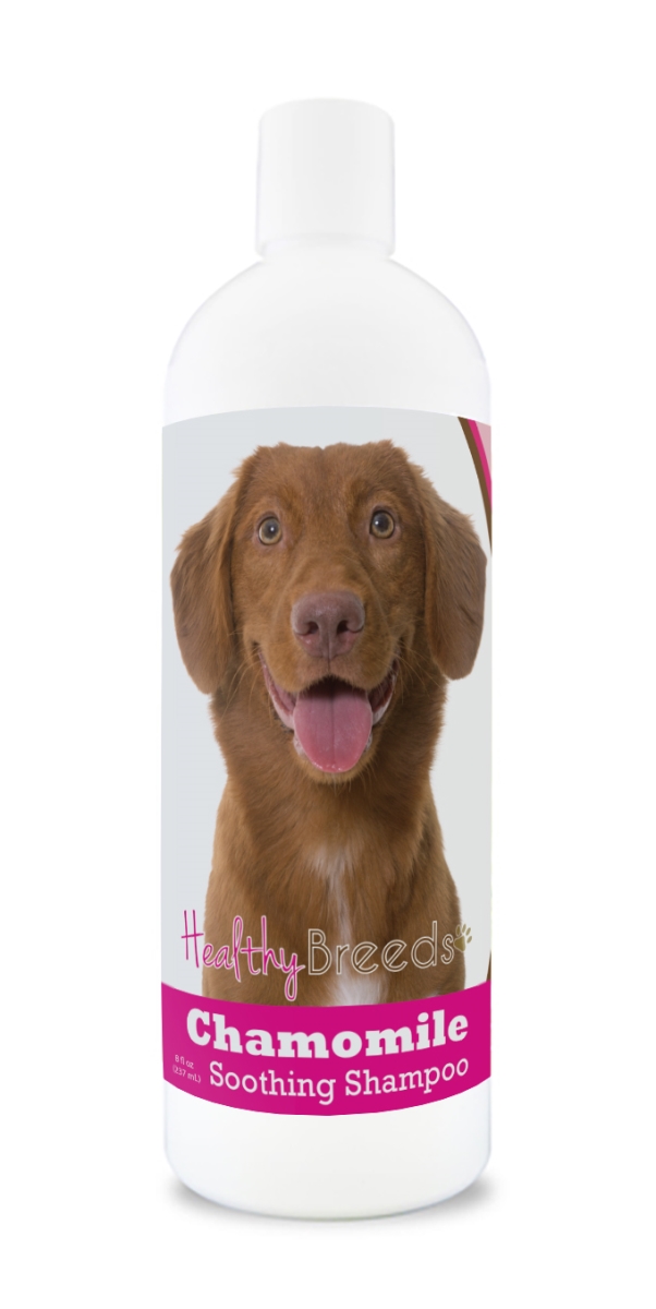 Picture of Healthy Breeds 192959000702 8 oz Nova Scotia Duck Tolling Retriever Chamomile Soothing Dog Shampoo
