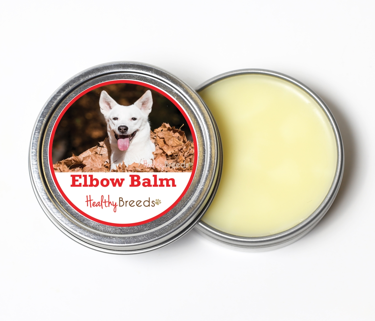840235196600 2 oz Canaan Dog Dog Elbow Balm