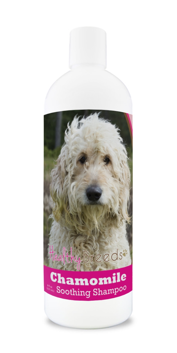 Picture of Healthy Breeds 840235161431 8 oz Goldendoodle Chamomile Soothing Dog Shampoo