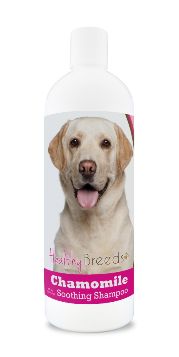 Picture of Healthy Breeds 840235161851 8 oz Labrador Retriever Chamomile Soothing Dog Shampoo