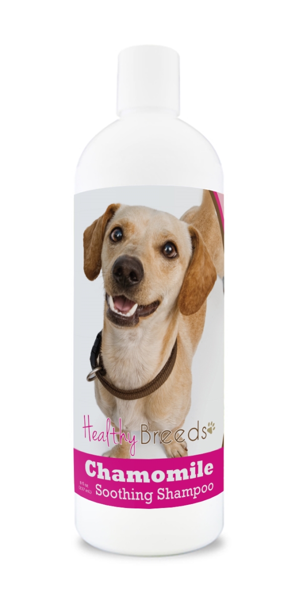840235199175 8 oz Chiweenie Chamomile Soothing Dog Shampoo
