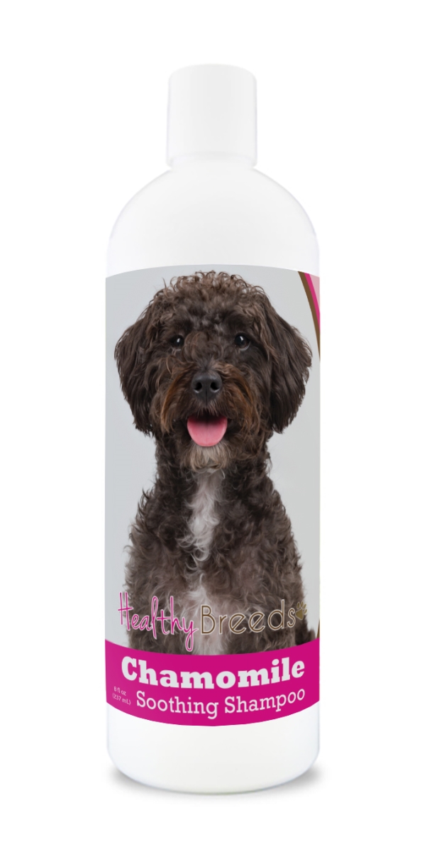840235199342 8 oz Schnoodle Chamomile Soothing Dog Shampoo
