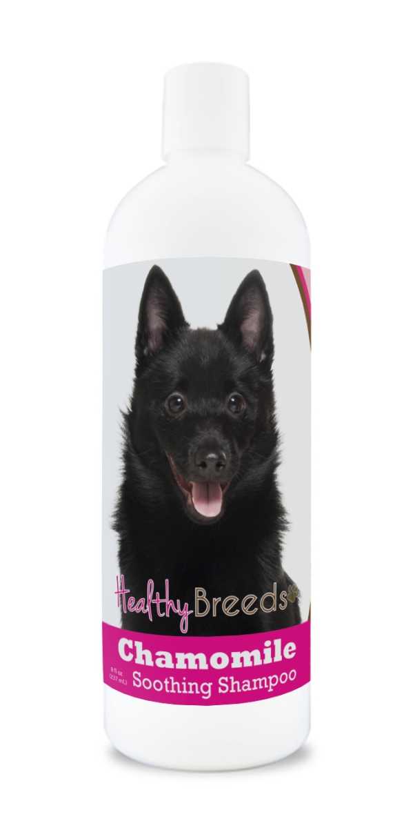 840235199359 8 oz Schipperke Chamomile Soothing Dog Shampoo